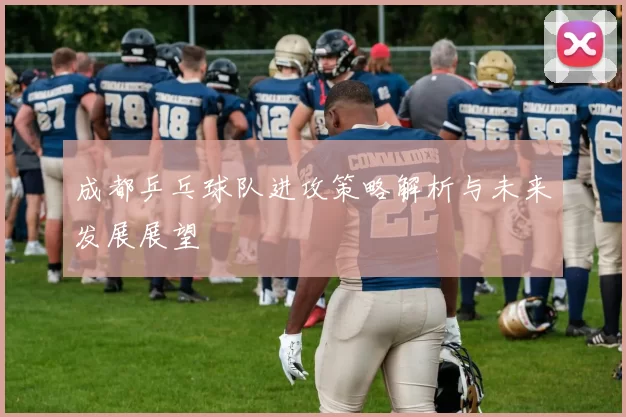 成都乒乓球队进攻策略解析与未来发展展望